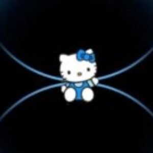 Profile photo of Hanaa Sarfaraz