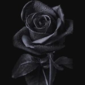 Group logo of Family Group